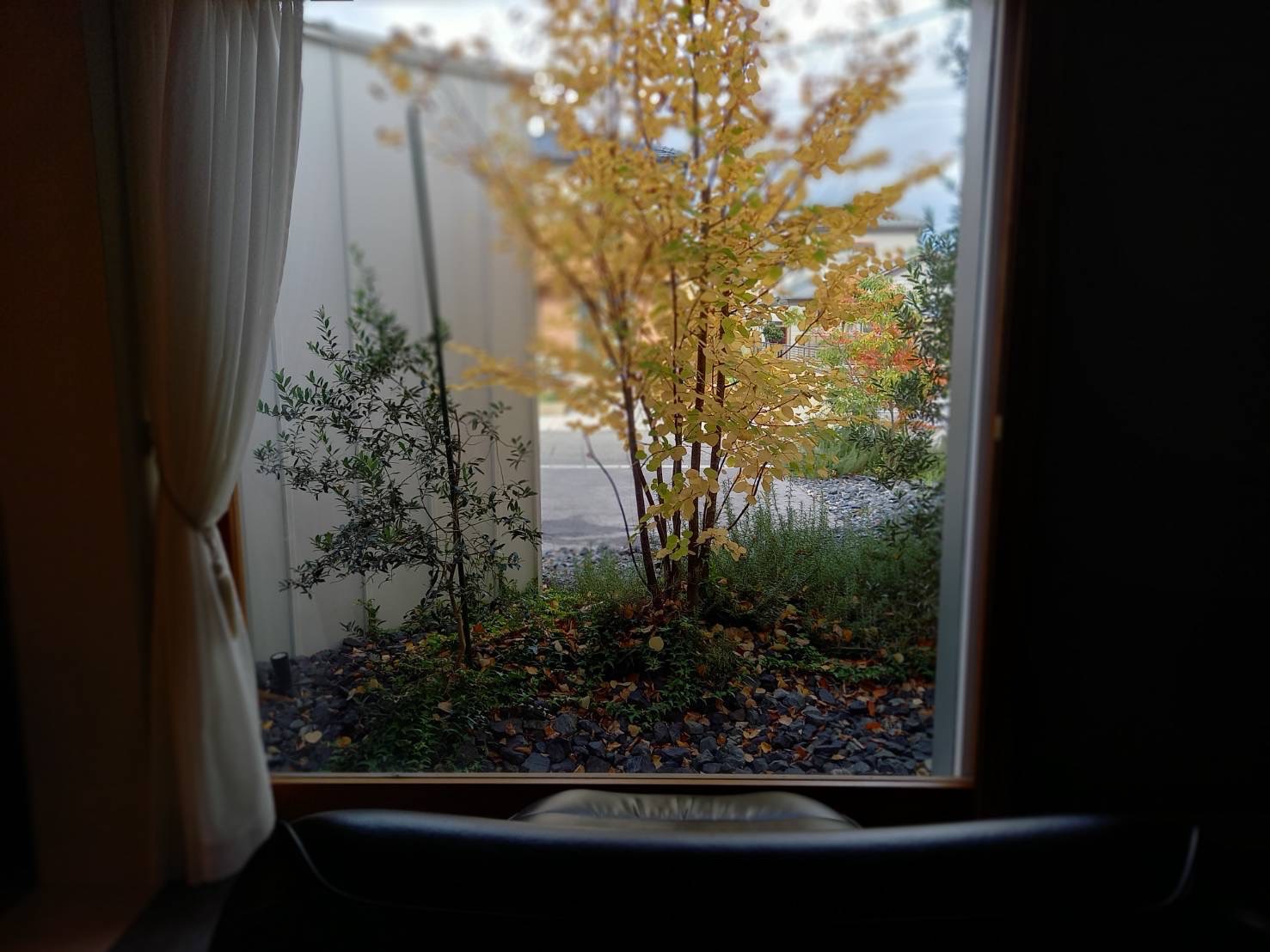 S__3653649.jpg